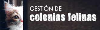Gestión de colonias felinas